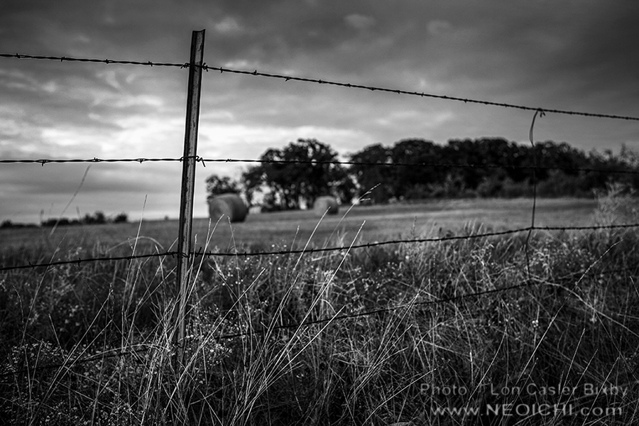 Round Bales - Series - Texas, 2014 - 0401 - Photography by Lon Casler Bixby - Copyright - All Rights Reserved - www.neoichi.com