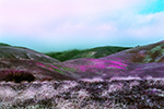 The Hills of Gorman on a Stormy Spring Day - Photography by Lon Casler Bixby - Copyright - All Rights Reserved - www.neoichi.com