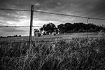 Round Bales - Series - Texas, 2014 - 0401 - Photography by Lon Casler Bixby - Copyright - All Rights Reserved - www.neoichi.com